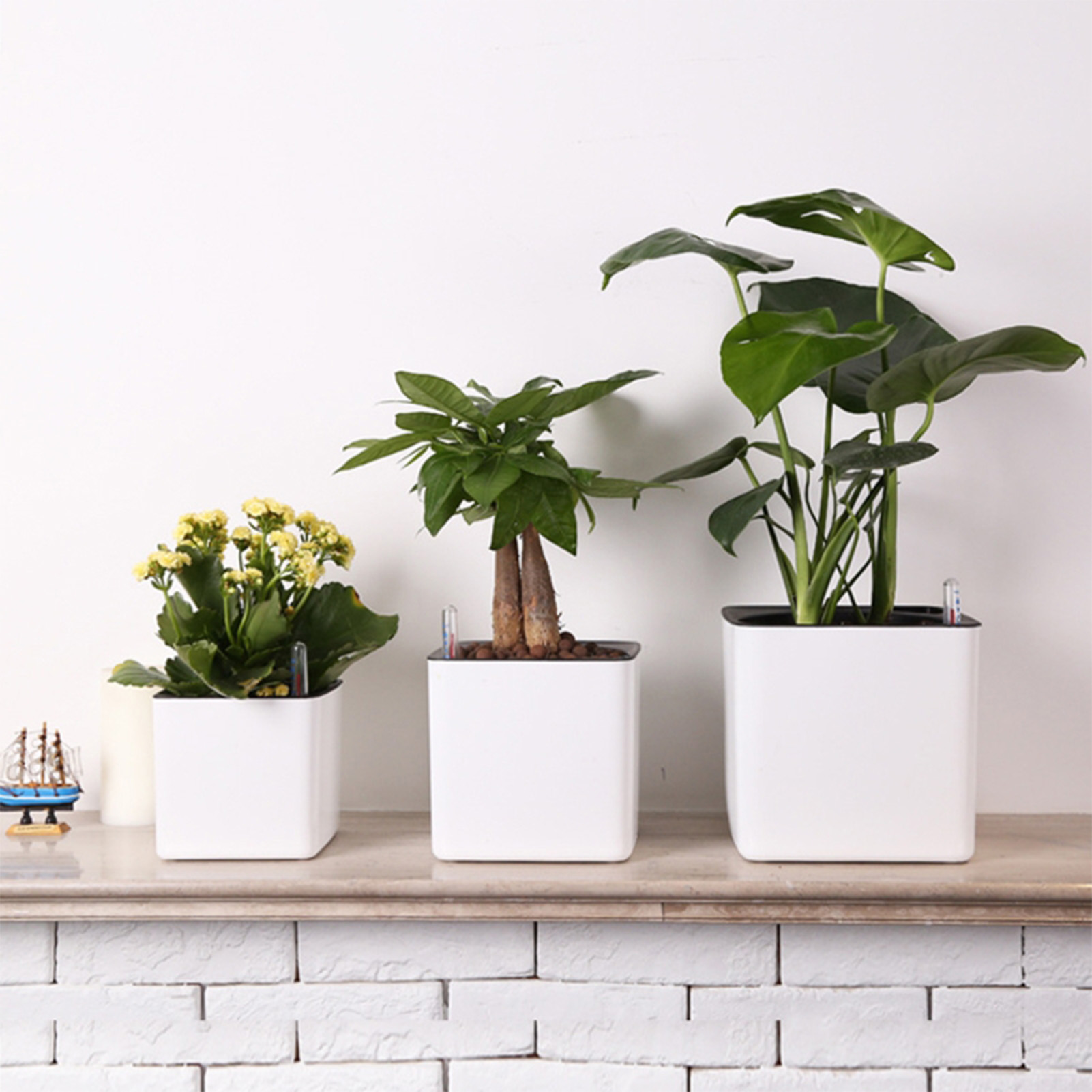 Vaso Autoirrigável com Indicad - Self Watering Insert avaliação e preço